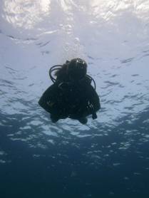 Início do segundo dia de mergulho em Montserrat, no Caribe (Yellow Monkey)